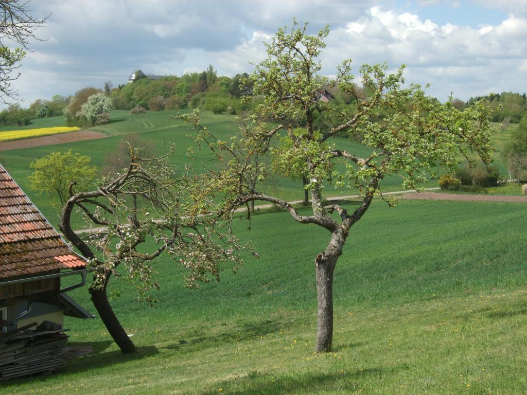 Stadtlauringen Ferienwohnung Bockelt מראה חיצוני תמונה